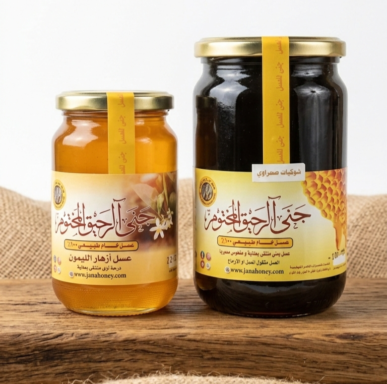 1772391863869(1) (1)